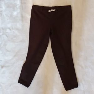 NWOT EA Riding Breeches - 34R